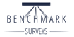Benchmark Surveys
