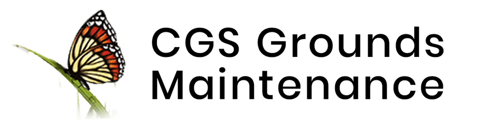 Cgs