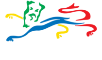 Southrn League Logo White